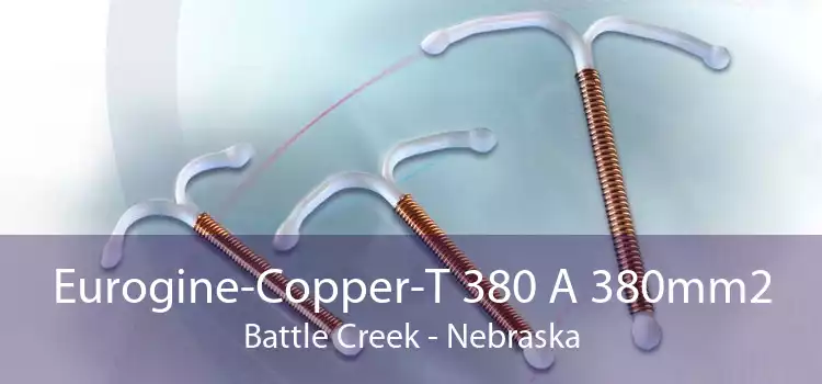 Eurogine-Copper-T 380 A 380mm2 Battle Creek - Nebraska
